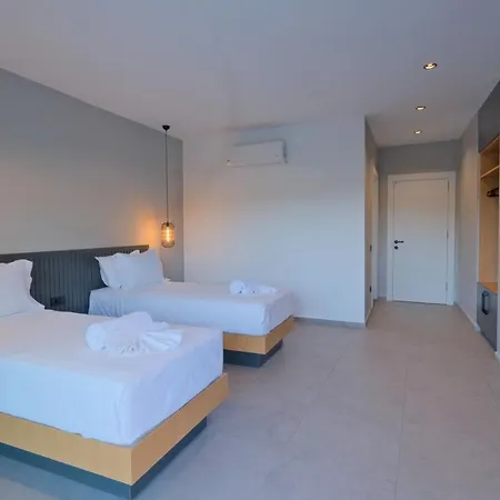 Gaia House 1 别墅 费特希耶