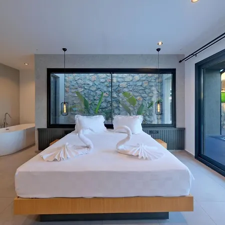 Gaia House 1 别墅 *