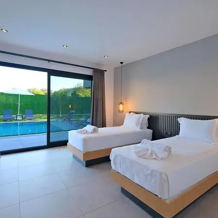 别墅 Gaia House 1 费特希耶