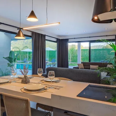别墅 Gaia House 1 费特希耶