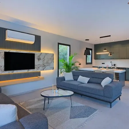 Gaia House 1 别墅 费特希耶