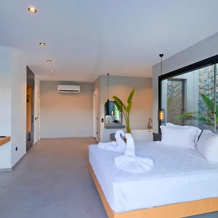 Gaia House 1 费特希耶